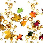 autunno frizzante_no logo